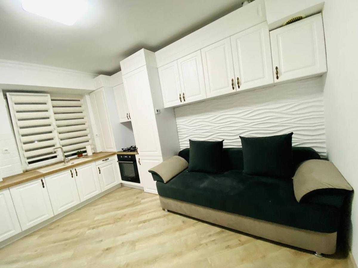 Central Eco View Apartment تشيسيناو المظهر الخارجي الصورة
