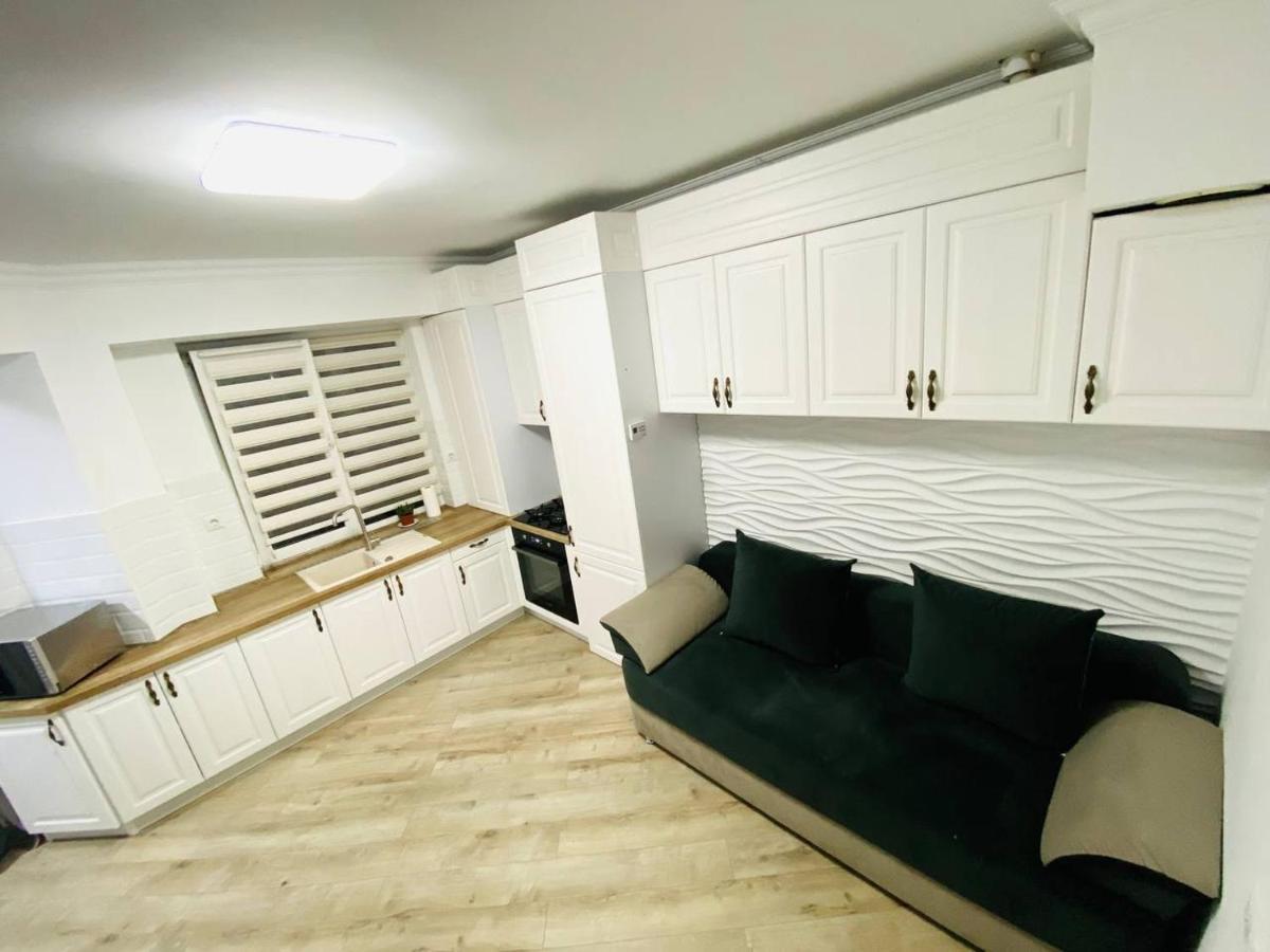 Central Eco View Apartment تشيسيناو المظهر الخارجي الصورة