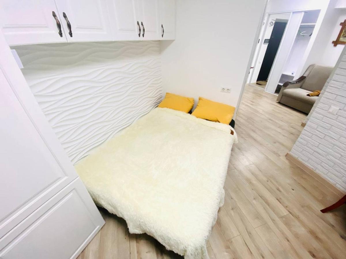 Central Eco View Apartment تشيسيناو المظهر الخارجي الصورة